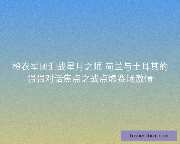 橙衣军团迎战星月之师 荷兰与土耳其的强强对话焦点之战点燃赛场激情