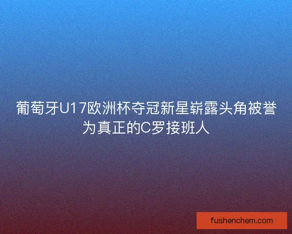 葡萄牙U17欧洲杯夺冠新星崭露头角被誉为真正的C罗接班人